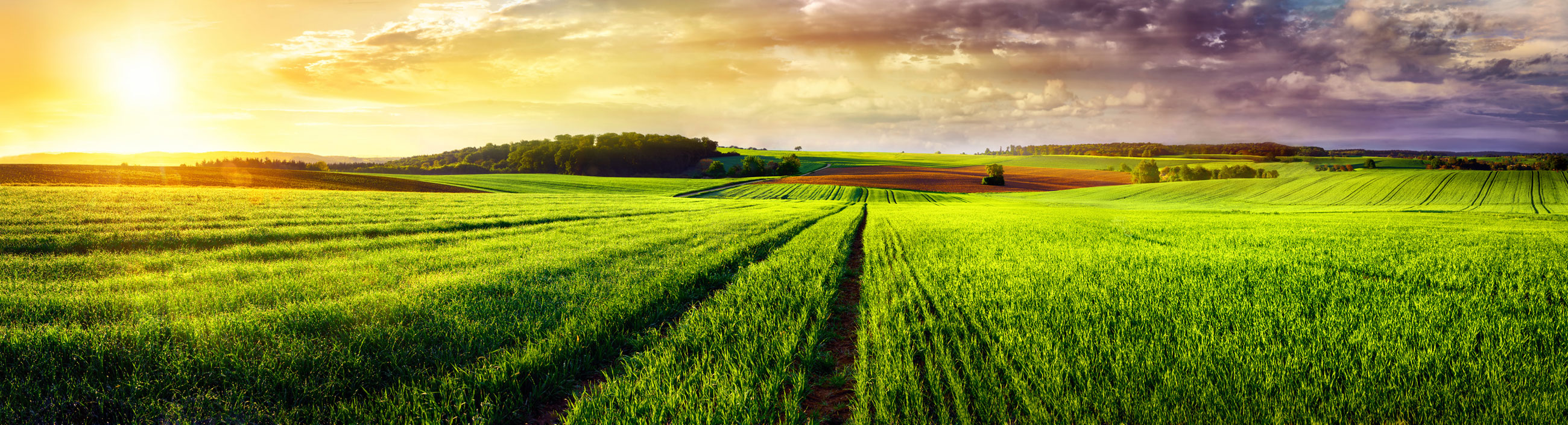 Landschaft mit Sonnenuntergang